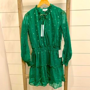 Darling NSR green dress from Nordstrom.